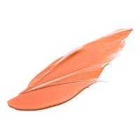 Бальзам для губ Naj Oleari Tender Glow 02 фото №2 — интернет-магазин Desire.md