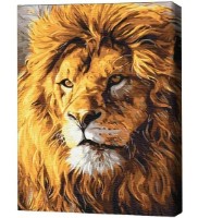 Tablou pe numere Brushme Взгляд гордости 40х50cm (4840781361336)