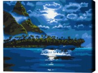 Картина по номерам Brushme Лунная ночь (BS33220FC)