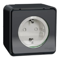 Розетка Schneider Electric MUR36034