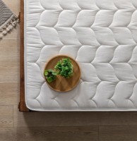 Saltea ortopedica Trendy Kus Tuyu Blue 80x200cm GTR007424 imaginea #5 — magazin online Desire.md