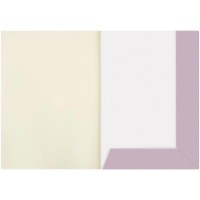 Бумага для рисования BG А4 180g/m2 20p (RL368574) фото №2 — интернет-магазин Desire.md