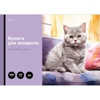Бумага для рисования BG А4 180g/m2 20p (RL368574)