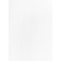 Бумага для рисования Gamma А4 200g/m2 10p (RL346939) фото №3 — интернет-магазин Desire.md