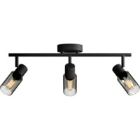 Люстра Philips Palms 25W (8720169299313)