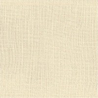 Бумага для акварели Лен Palazzo 260gr 297x370 1p (П-1520-1)