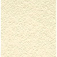 Бумага для акварели Palazzo 200gr А4 210х297 1p (П-2644-1)