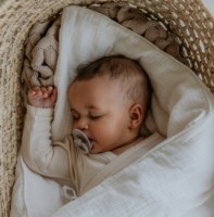 Пустышка BIBS Khaki 6-18m (200305C)  фото №3 — интернет-магазин Desire.md