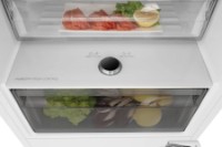 Встраиваемый холодильник Hisense RB3B250SAWE фото №4 — интернет-магазин Desire.md