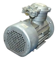 Motor electric PowMr 10314621 imaginea #2 — magazin online Desire.md