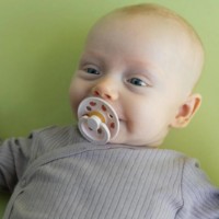 Пустышка BIBS Ladybug: Blush/Sand 6-18m 2pcs (5713795270637) фото №2 — интернет-магазин Desire.md