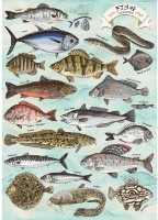 Puzzle Trefl 500 Premium Plus (37609)