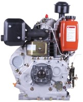 Двигатель дизельный TT DV-59-186F фото №2 — интернет-магазин Desire.md