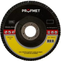 Disc de șlefuit Profmet 310635