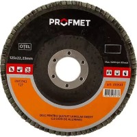 Disc de șlefuit Profmet 310644