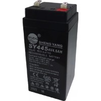 Bateria acumulatorului ShengYang SY445