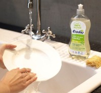 Detergent de vase Ecodoo Eco Aloe&Verbena 1L  imaginea #3 — magazin online Desire.md