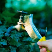 Perie pentru metal Wolfcraft 2716000 imaginea #2 — magazin online Desire.md