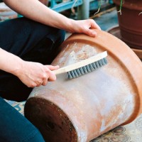 Perie pentru metal Wolfcraft 2723000 imaginea #4 — magazin online Desire.md