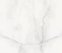 Gresie Usak Seramik Manavgat Grey Polished 60x120cm