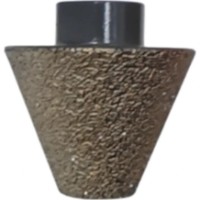 Carota Shijing 892482