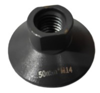 Carota Shijing 892505