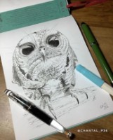 Скетчбук SMLT Authentic A5 70p 90gr (5EB-70TS) фото №4 — интернет-магазин Desire.md