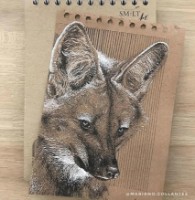 Скетчбук SMLT Authentic A5 80p 135gr (5EA-80/NTB) фото №2 — интернет-магазин Desire.md