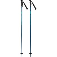 Лыжные палки Rossignol Electra Blue 115cm