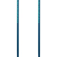Лыжные палки Rossignol Electra Blue 115cm фото №3 — интернет-магазин Desire.md