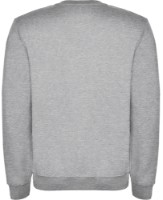 Hanorac pentru copii Roly Clasica 1070 Heather Grey, 9-10 years imaginea #2 — magazin online Desire.md