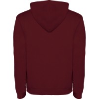 Hanorac pentru bărbați Roly Urban 1067 Garnet, s.XXL imaginea #2 — magazin online Desire.md