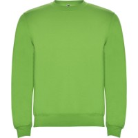 Hanorac pentru bărbați Roly Clasica 1070 Oasis Green, s.XL imaginea #1 — magazin online Desire.md