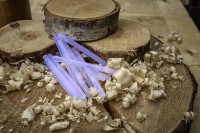 Стержни клеевые Proline 42902 фото №2 — интернет-магазин Desire.md