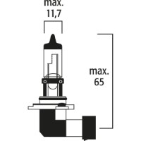 Автомобильная лампа Floesser 9145 фото №2 — интернет-магазин Desire.md