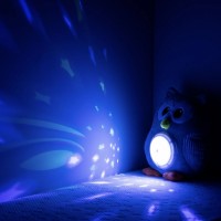 Ночной светильник Chipolino Owl (PIL025020OWL) фото №2 — интернет-магазин Desire.md