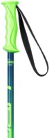 Bețe de schi Elan Rock Rod JR Green 90cm imaginea #2 — magazin online Desire.md