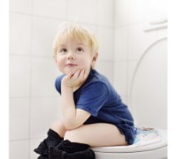 Colac WC pentru copii Sevi Bebe Penguin (70-93) imaginea #4 — magazin online Desire.md