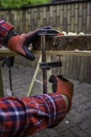 Струбцина Proline 11515 фото №2 — интернет-магазин Desire.md