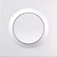 Умный выключатель Sonoff Wall Switch Enclosure E1GSL