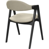 Стул Deco Logan Ambrella 09 + Black Legs Black фото №4 — интернет-магазин Desire.md
