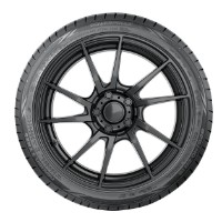 Шина Nokian Powerproof 1 225/50 ZR18 99Y XL фото №2 — интернет-магазин Desire.md