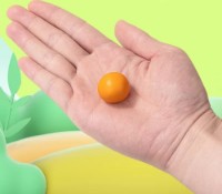 Пластилин Deli Genius 24pcs DLEY020 фото №3 — интернет-магазин Desire.md