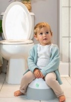 Детский горшок Ingenuity ITY Redy Set Go (16940) фото №3 — интернет-магазин Desire.md
