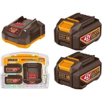 Set încarcator+acumulator Ingco FBCPM20221