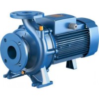 Pompă centrifugală Pedrollo F 50/200B (4FN50165BE)