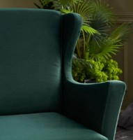 Fotoliu Trendy Lola Berjer Green 77x80x98cm GTR002076 imaginea #4 — magazin online Desire.md