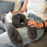 Jucărie de pluș Histoire d'Ours Koala 40cm (HO3365) imaginea #8 — magazin online Desire.md