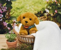 Jucărie de pluș Histoire d'Ours Dog Beige Spa Collection 16cm (HO3312)  imaginea #3 — magazin online Desire.md