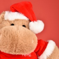 Jucărie de pluș Histoire d'Ours Hippopotamus Kris Hug 20cm (HO3381) imaginea #7 — magazin online Desire.md